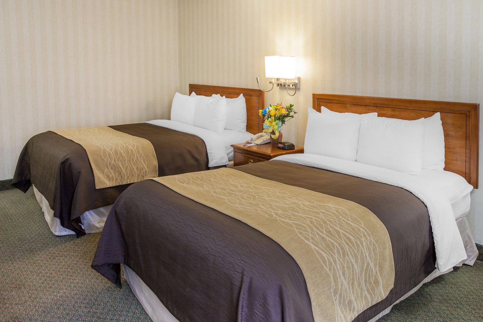 Comfort Inn Pentagon City Arlington Eksteriør bilde